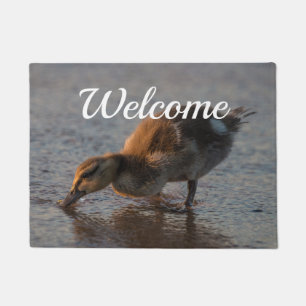 Felpudo Doormat, bebé sediento