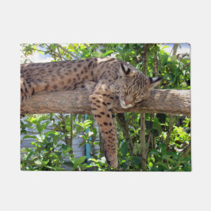 Felpudo Doormat Bobcat en reposo