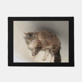 Felpudo Doormat Cat