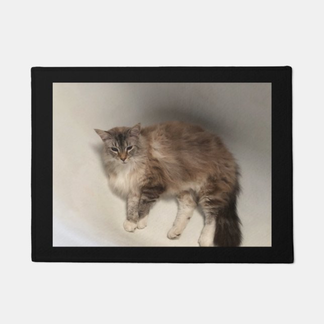 Felpudo Doormat Cat (Anverso)