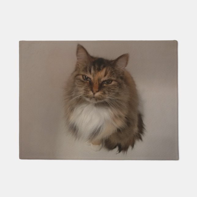 Felpudo Doormat Cat (Anverso)