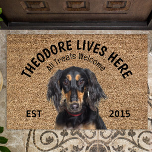 Felpudo Doormat con amante del perro personalizado Saluki