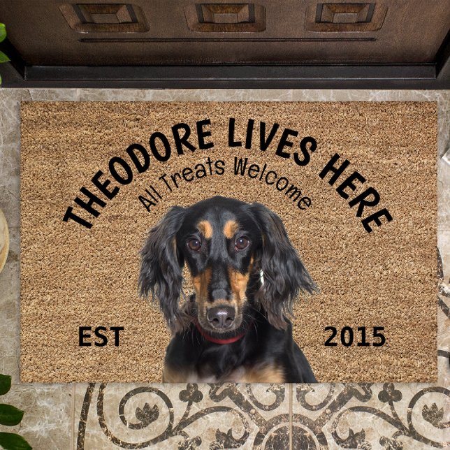 Felpudo Doormat con amante del perro personalizado Saluki (Subido por el creador)