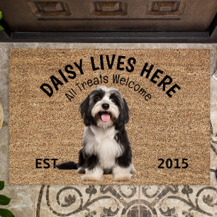 Felpudo Doormat de amante de los perros que adoran el terr