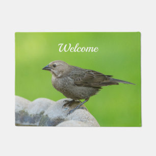 Felpudo Doormat de bienvenida de pájaro avellanado marrón