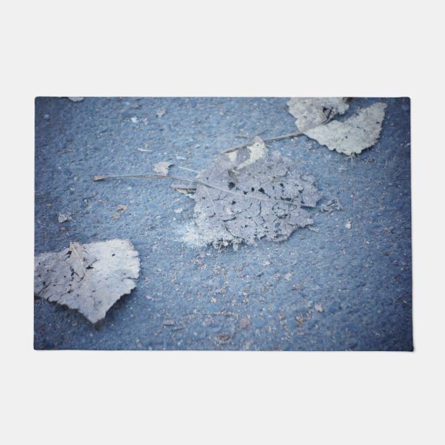 Felpudo Doormat de calidad superior (Anverso)