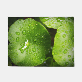 Felpudo Doormat de calidad superior