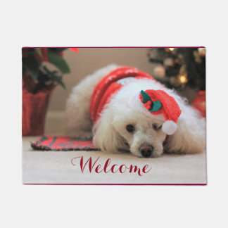 Felpudo Doormat del perro de caniche de juguete del