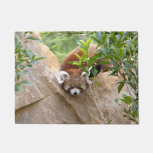 Felpudo Doormat Foto panda roja , animales 0233.
