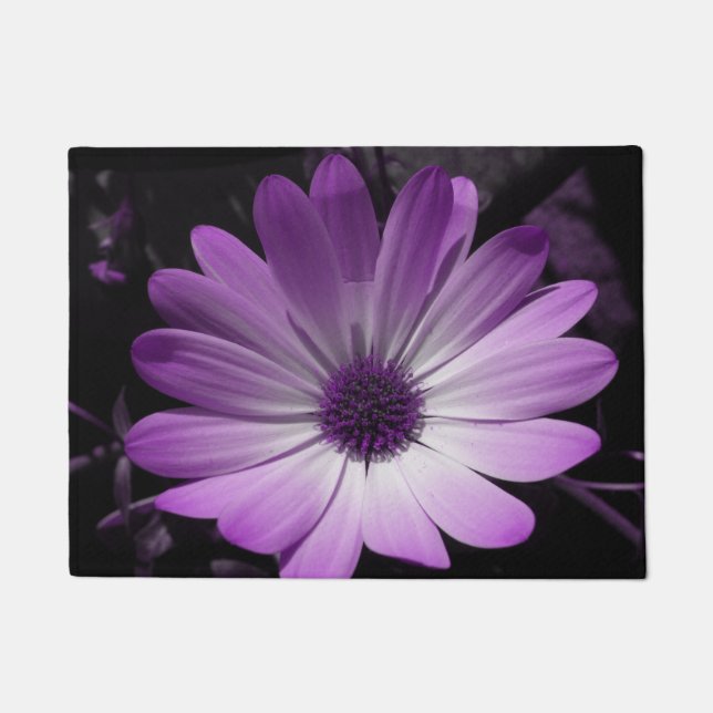 Felpudo Doormat morado de flores de margarita (Anverso)
