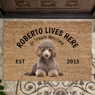 Felpudo Doormat Perro Perro Tradicional Personalizado
