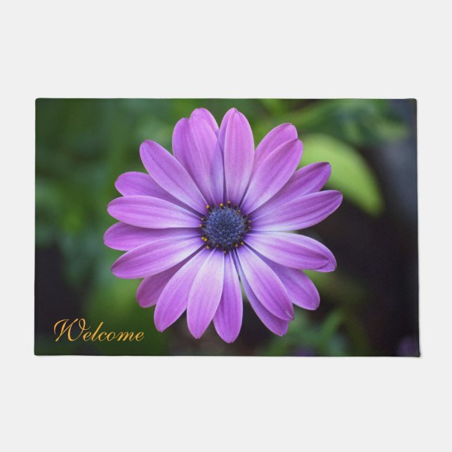 Felpudo Doormat púrpura Osteopermum (Anverso)