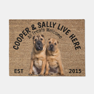 Felpudo Dos amantes del perro personalizados de Shar Pei