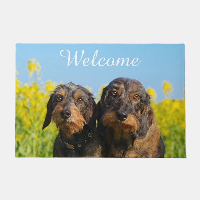 Felpudo Dos amigos de Dachshunds de Cute Dackel - Bienveni (Anverso)