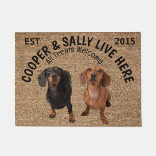 Felpudo Dos Dachshunds Personalizados Perros