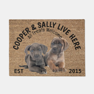 Felpudo Dos perros corsos de caña personalizada