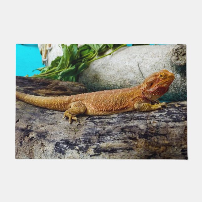 Felpudo Dragon Lizard con barba para adultos (Anverso)