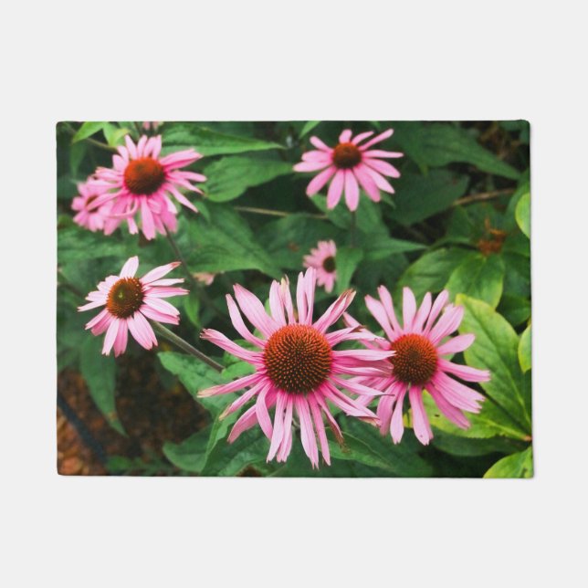 Felpudo Echinacea Purpurea, deflor morado (Anverso)