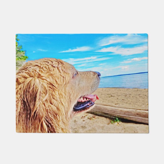 Felpudo El golden retriever acoge con satisfacción a Matt (Anverso)