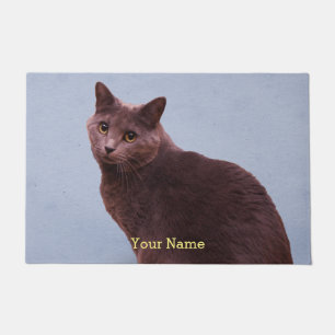 Felpudo El mirar fijamente ruso del gato azul