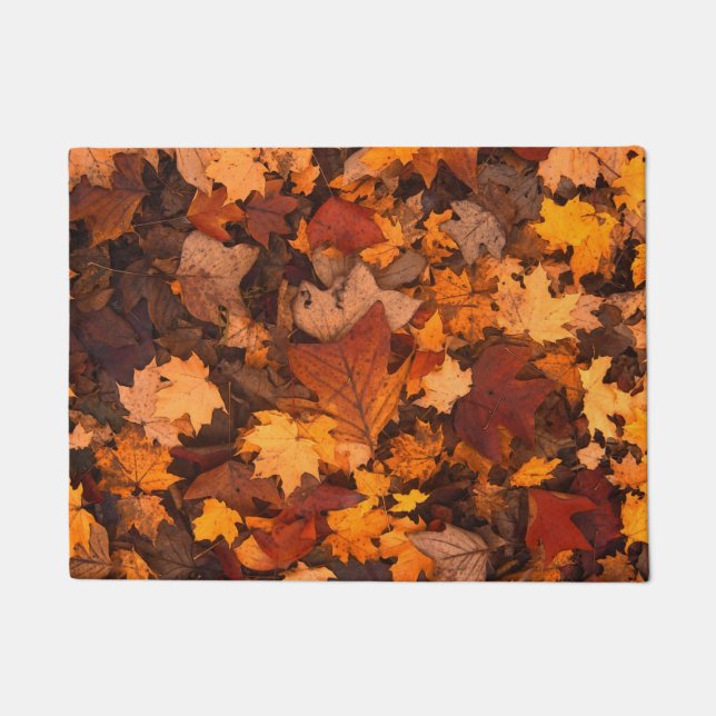 Felpudo el otoño (Anverso)