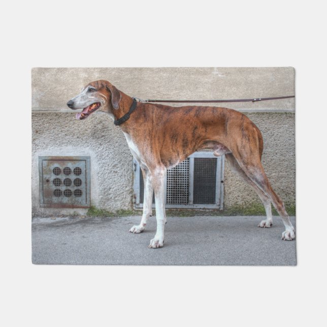 Felpudo Elder Brindle Greyhound (Anverso)