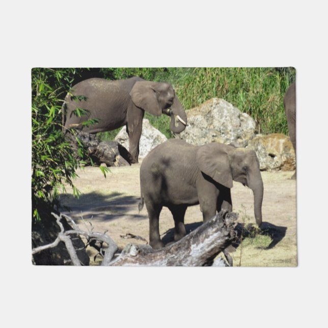 Felpudo Elefante - Doormat (Anverso)