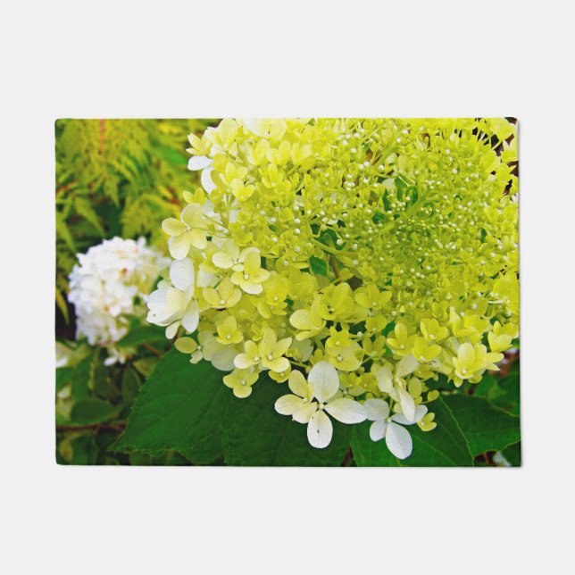 Felpudo Elegante Chartreuse Green Limelight Hydrangea (Anverso)