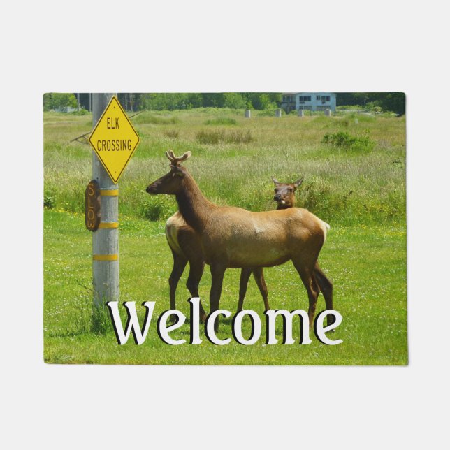 Felpudo Elk Crossing California Wildlife Photography (Anverso)