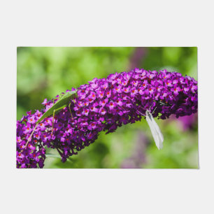 Felpudo energía katydid