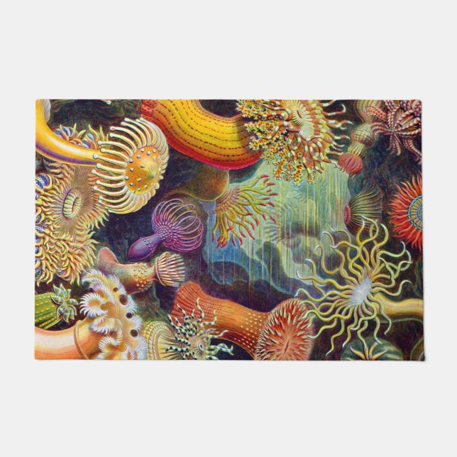 Felpudo Ernst Haeckel Sea Anemones Marine:Actiniae (Anverso)