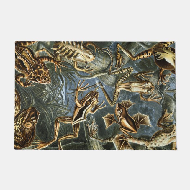 Felpudo Ernst Haeckel variedad de ranas exóticas:Batrachia (Anverso)