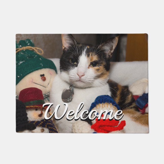 Felpudo Espio Un Doormat De Bienvenida Calico (Anverso)