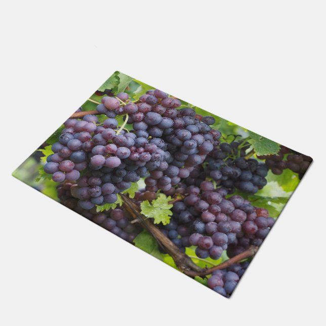 Felpudo Estera de puerta de las uvas (Angular)