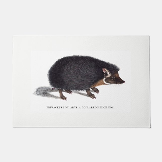 Felpudo Estera de puerta del erizo (Anverso)