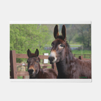 Felpudo Estera de puerta del mollete y de los Cocos