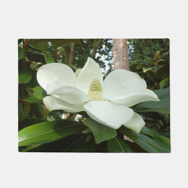 Felpudo Estera de puerta grandiflora de la magnolia (Anverso)