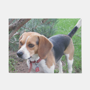 Felpudo Estera de puerta joven del perro del beagle