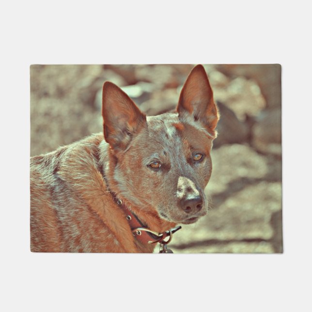 Felpudo Estera roja de Heller del nacido en el baby-boom (Anverso)