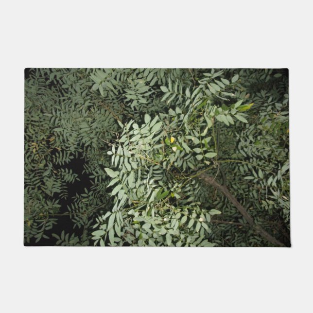 FELPUDO ESTILO Y DISEÑO DE LA PUERTA (Anverso)