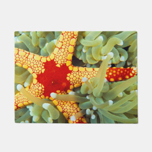 Felpudo Estrella de mar roja y amarilla