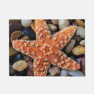 Felpudo Estrellas de mar en rocas