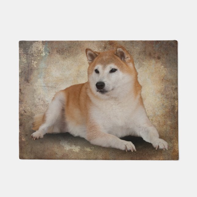 FELPUDO FIEL (Anverso)