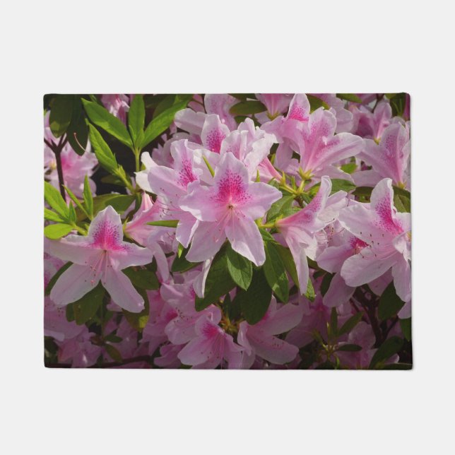 Felpudo Flor de primavera rosada de Azalea Bush (Anverso)