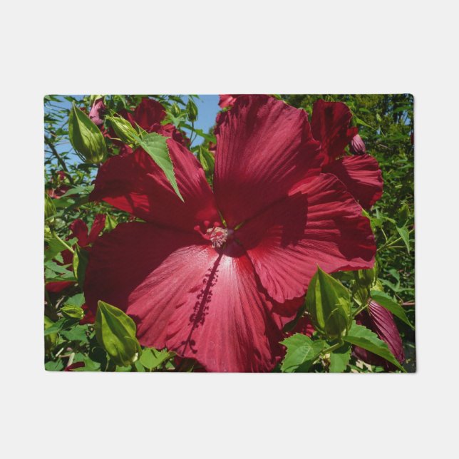 Felpudo Flor hibiscus y cielo azul (Anverso)