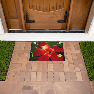 Felpudo Flor roja hibiscus en el sol