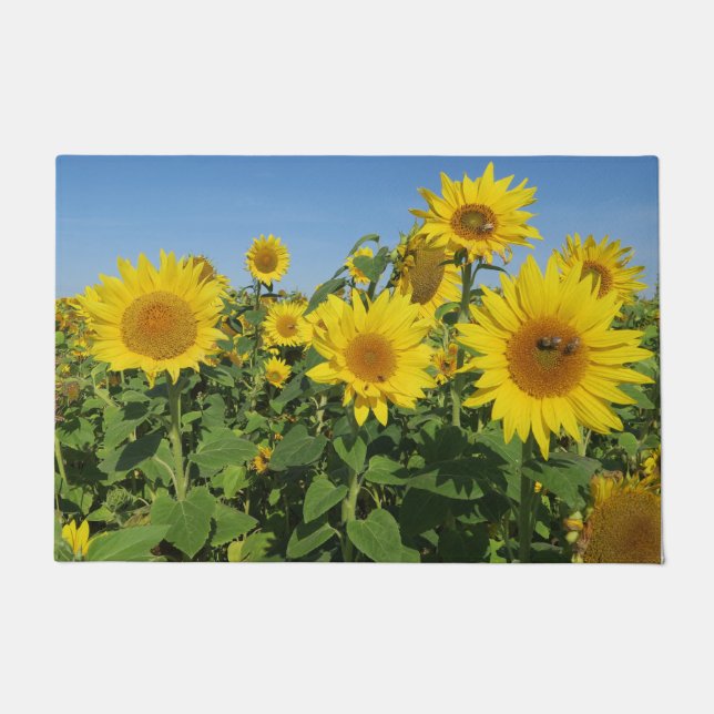 Felpudo flor, sol, planta, naturaleza, verano, floral, (Anverso)