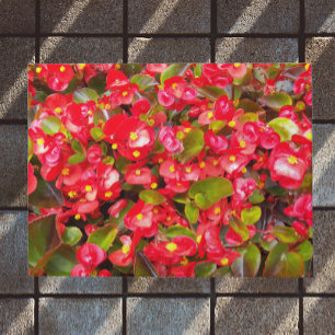 Felpudo Floral de cera roja Begonias