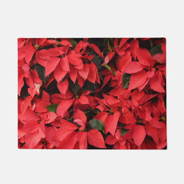Felpudo Floral navideña de Navidades de la Poinsettias Roj (Anverso)