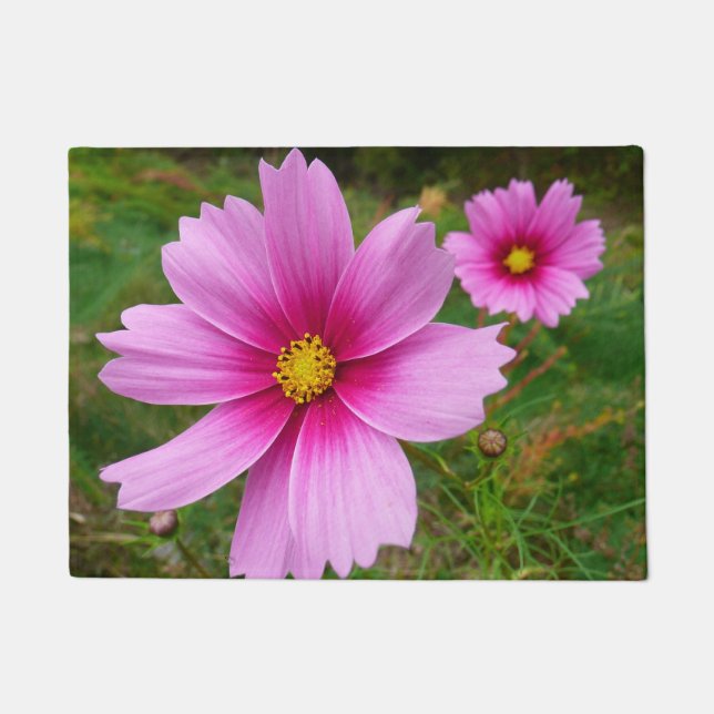 Felpudo Flores Cosmos rosadas Flores silvestres (Anverso)